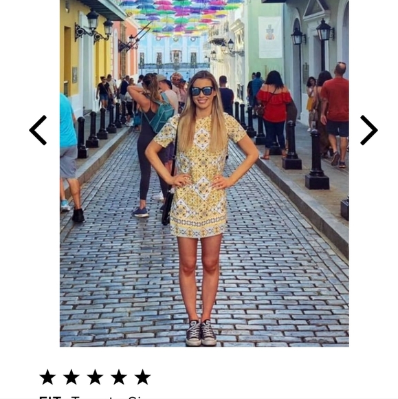 Lulu's Dandy Lion Shift Dress - Picture 10 of 13